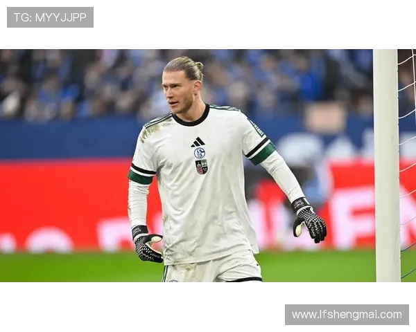 沙尔克总监:卡里乌斯应继续为球队核心 留下并踢德甲 沙尔克总监:卡里乌斯应继续为球队核心 留下并踢德甲