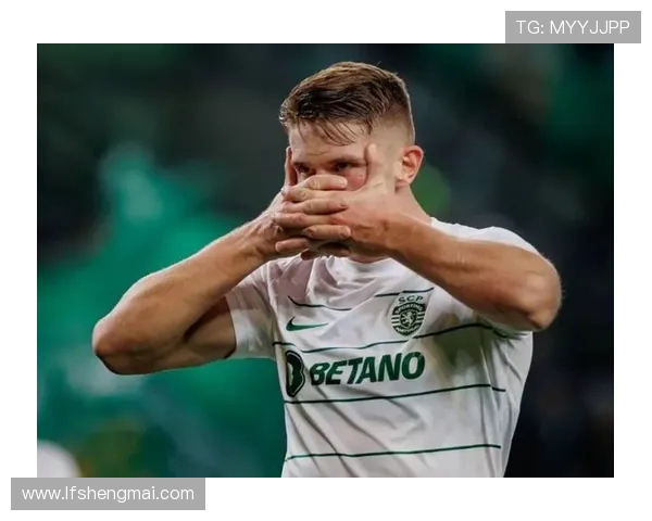 回声报记者称马丁内利举动越界英足总亟需采取措施维护赛事公正性